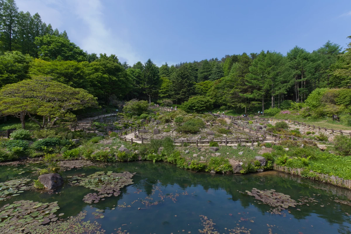 神戸デートは日本三大夜景の摩耶山へ！ 六甲山牧場や植物園にも