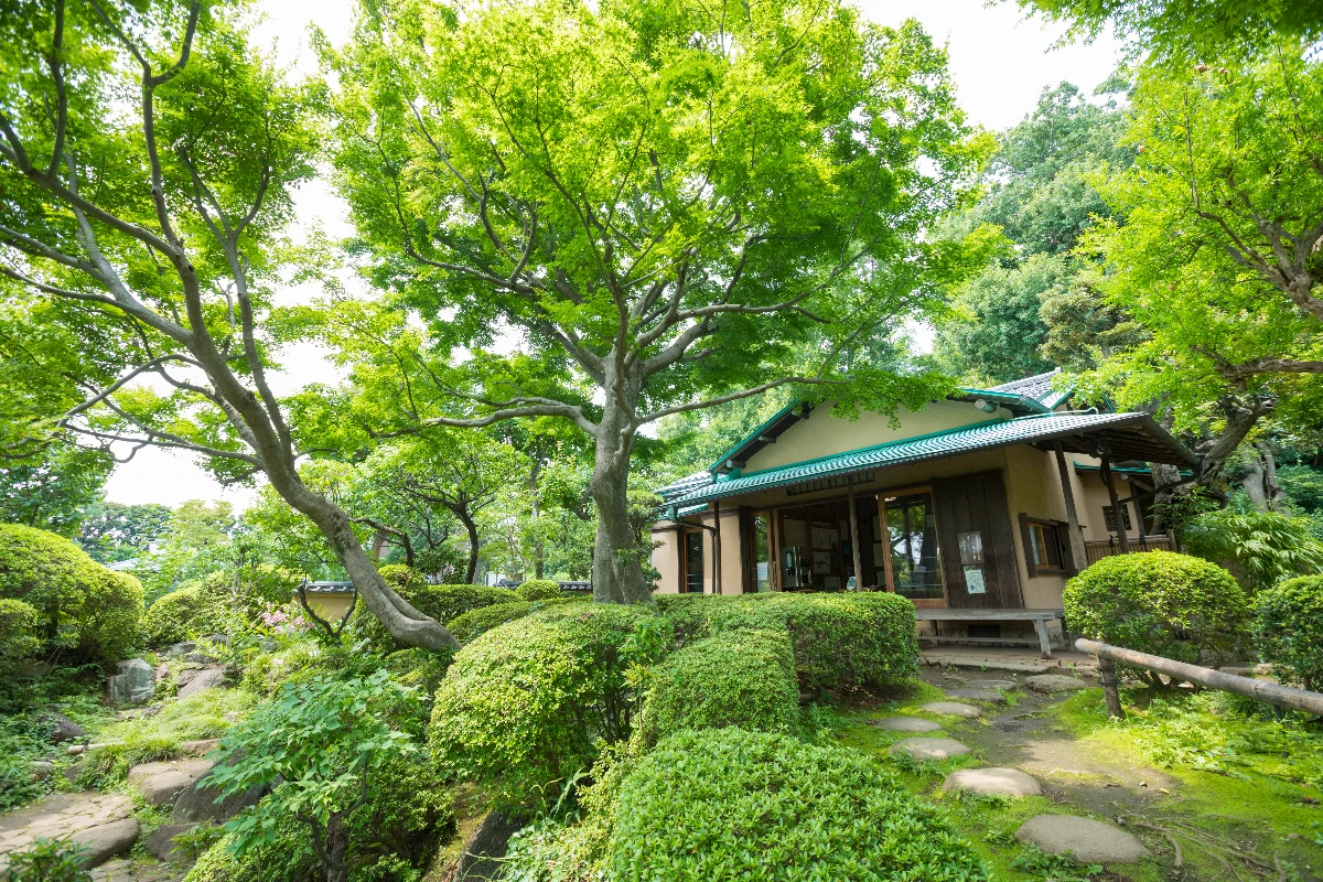 東京・等々力渓谷で散策デート。五島美術館も訪れる日帰り旅｜旅行プランは旅色で。