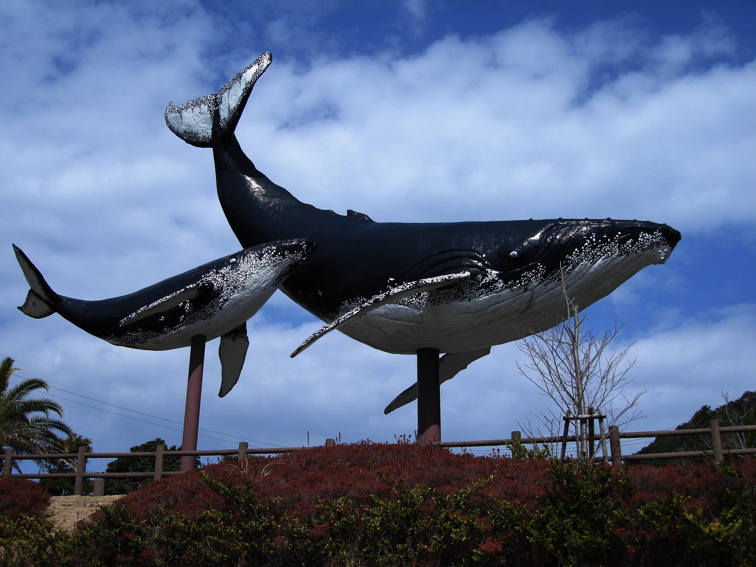 和歌山の太地町で捕鯨史を体感。『深重の海』『鯨分限』の舞台へ｜旅行