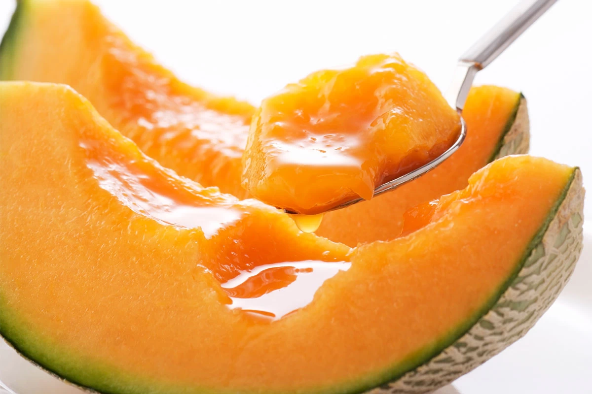 とみたメロンハウス