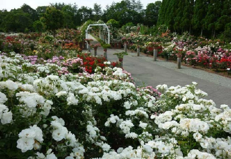 湧永満之記念庭園