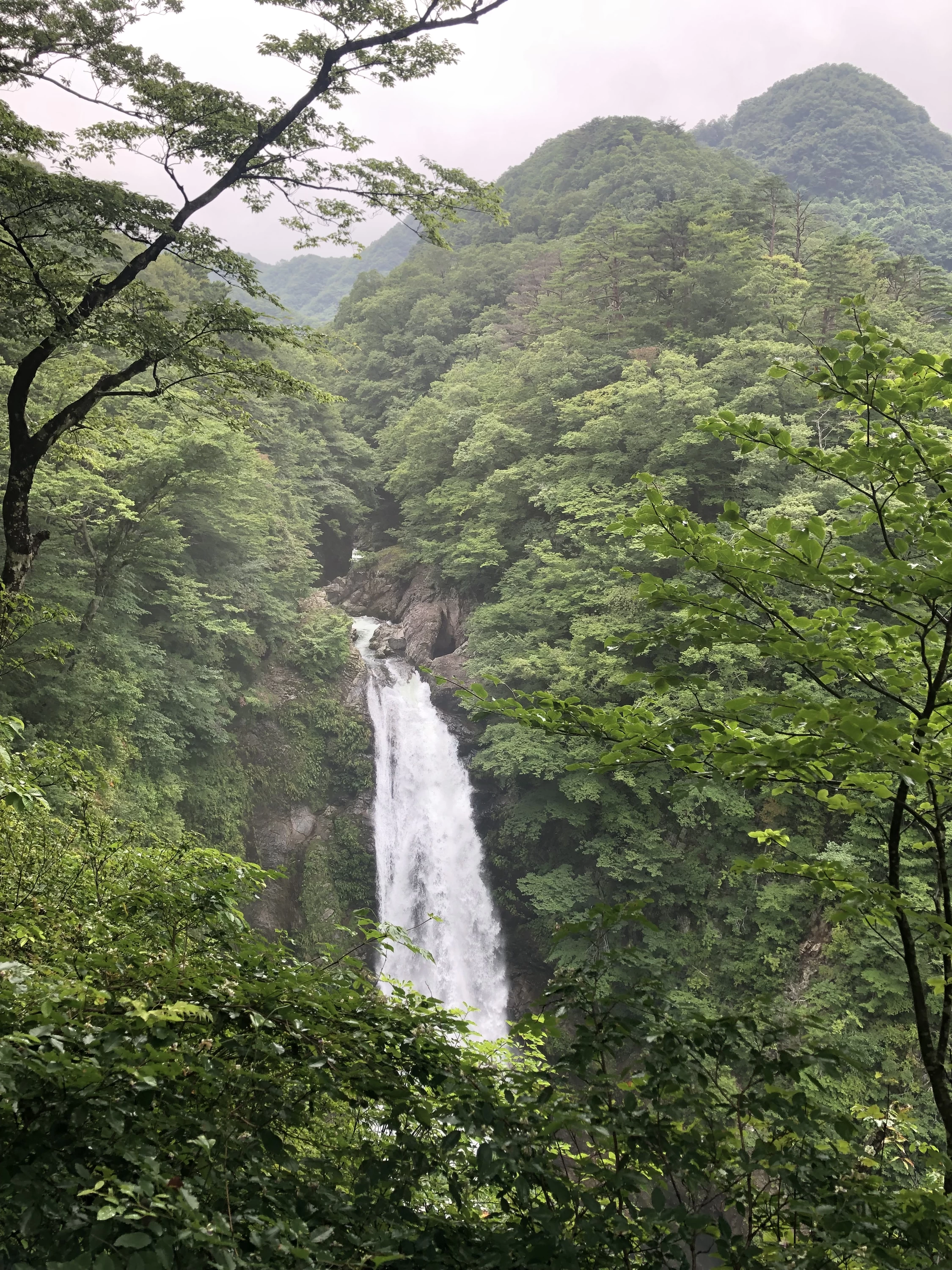 仙台旅行で秋保温泉へ。伝説のおはぎや海鮮丼など名物グルメ巡り｜旅行