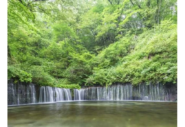 【超希少！】 絵　　滝（高知県）　　2023.06.16 超希少！】 絵 滝（高知県） 2023.06.16｜絵画