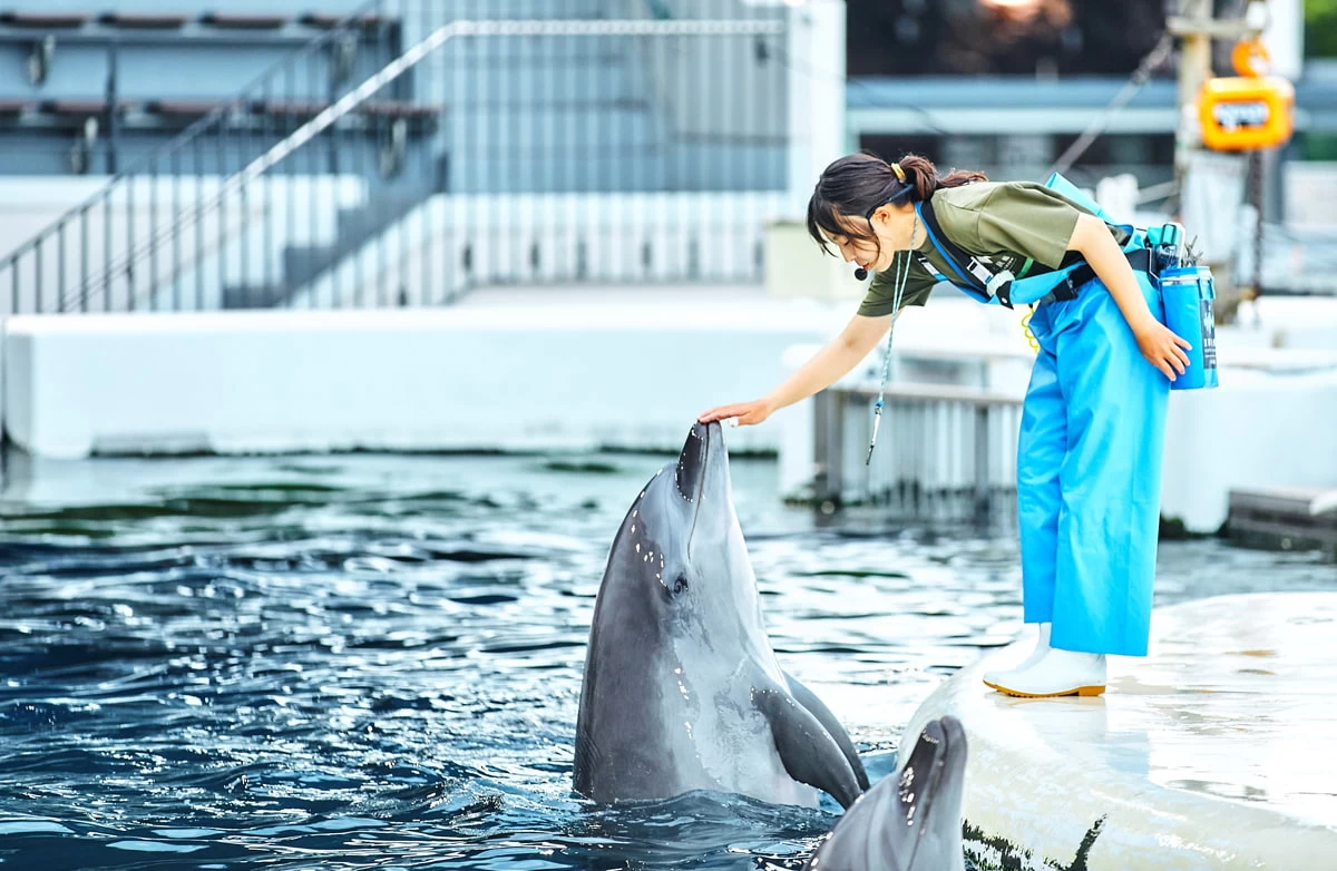 子連れで京都・梅小路公園へ！水族館や鉄道博物館を巡る日帰り旅｜旅行プランは旅色で。