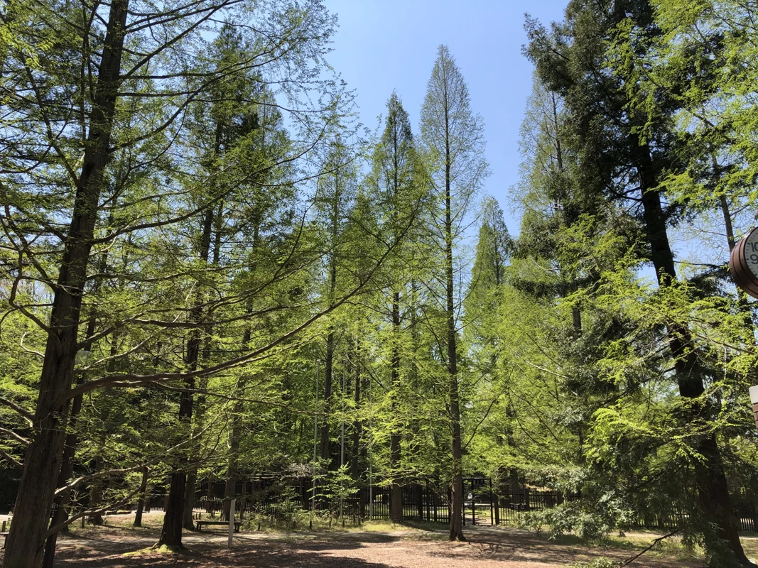 神戸市立森林植物園
