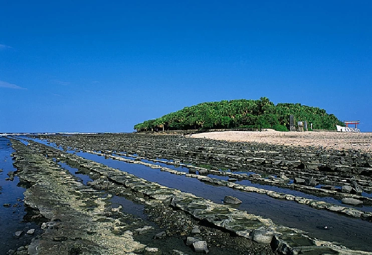 青島