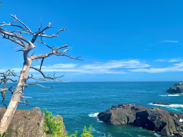 龍舞崎(たつまいざき)