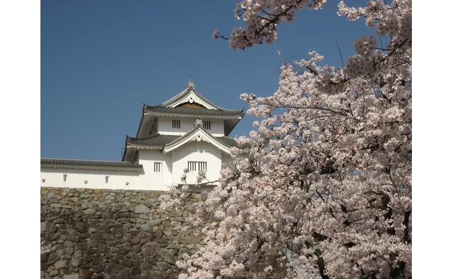 舞鶴城公園(甲府城跡)