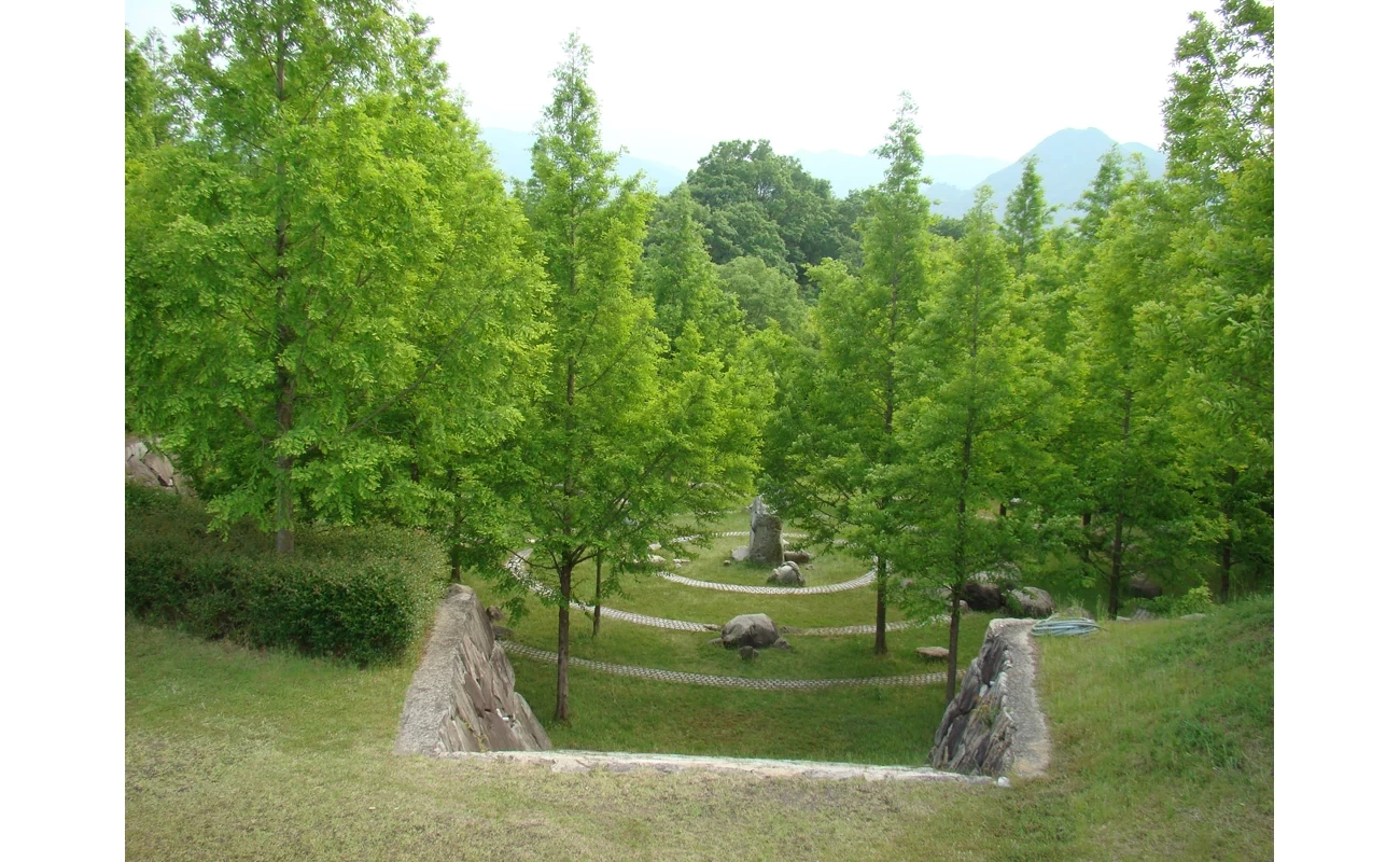 太古の森