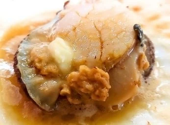 さるふつまるごと館