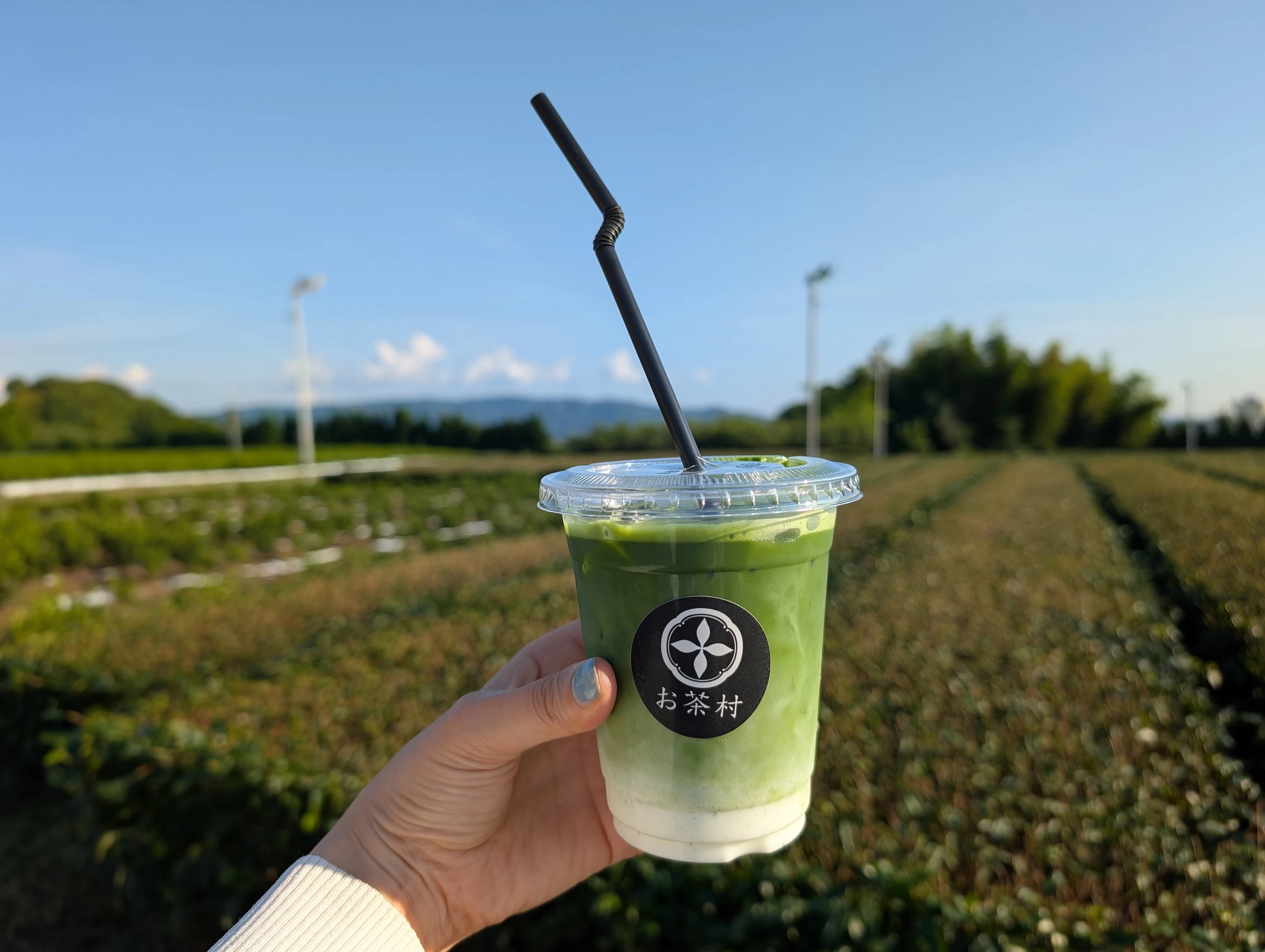 お茶村/八女茶 大石茶茶園