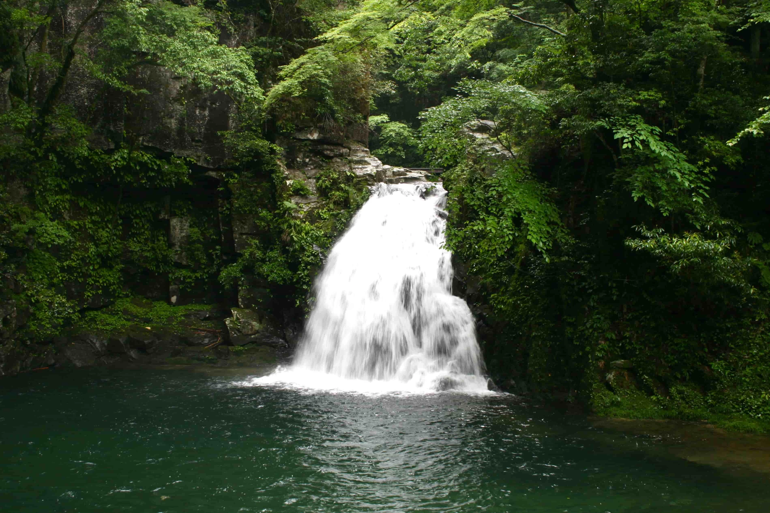 三重県・赤目四十八滝でハイキング！コケの胞子体と出会う春の旅｜旅行