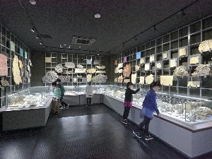 第5展示室世界の化石