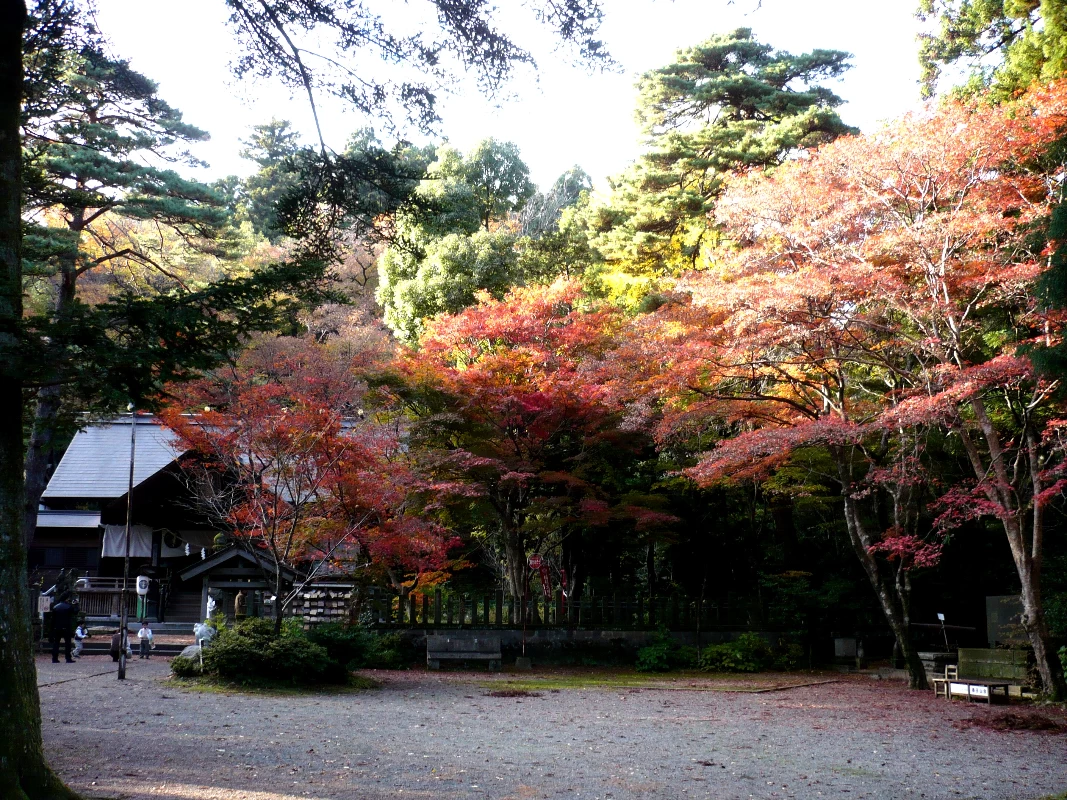 秋の春日山神社