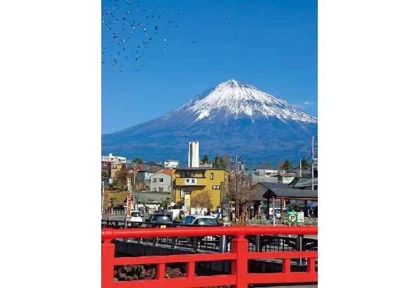 大社から望む富士山