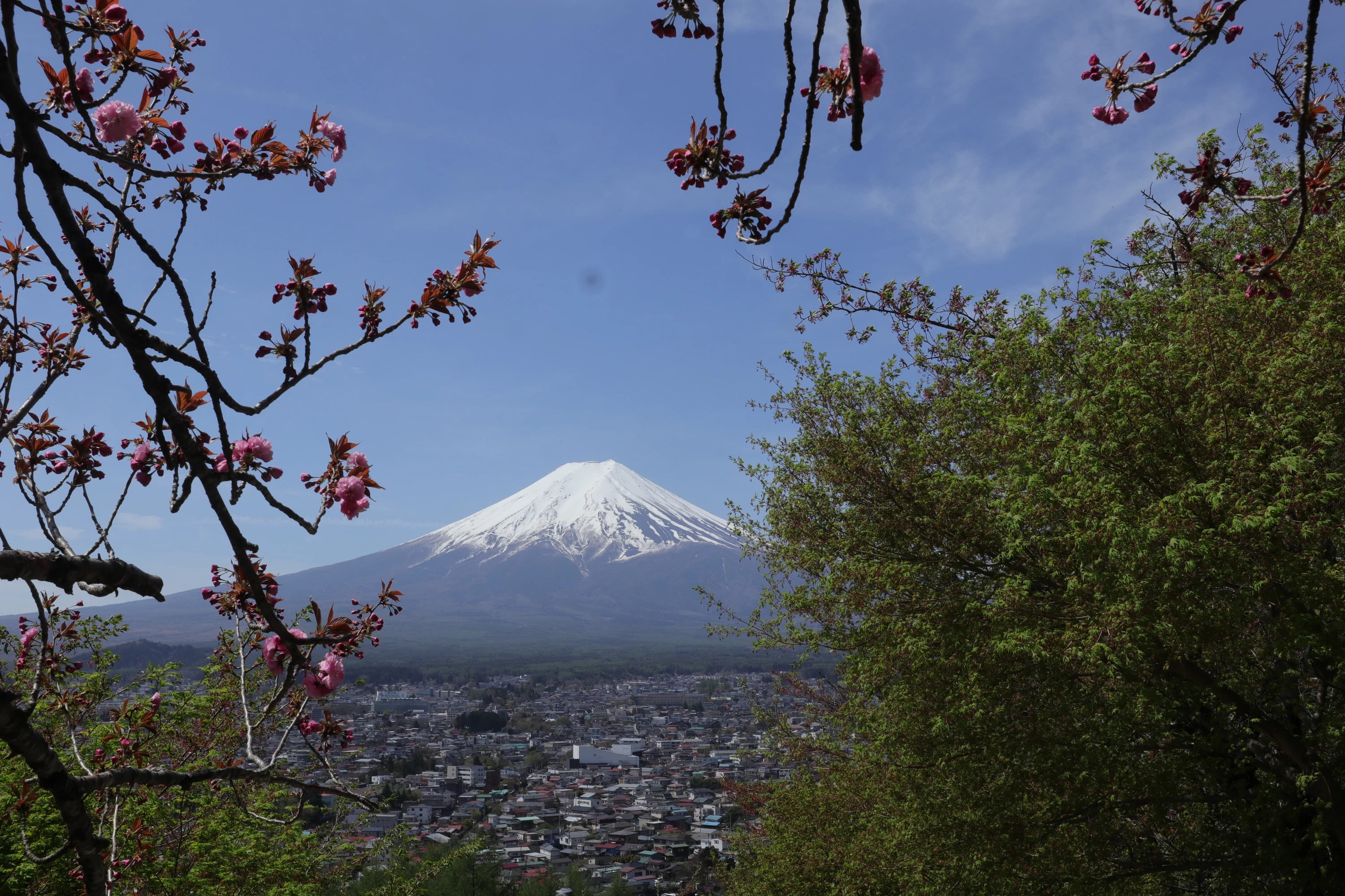 階段からも富士山の絶景が