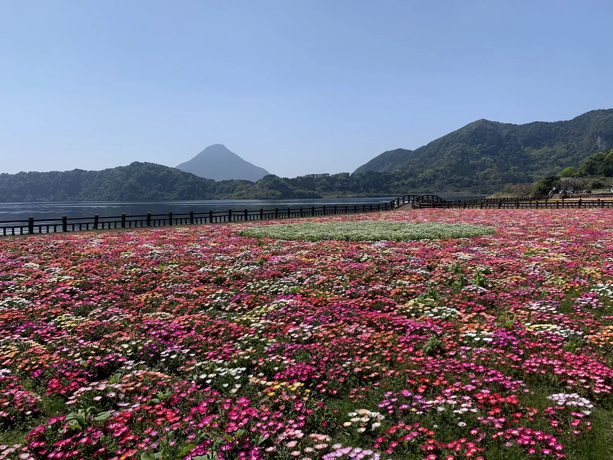 池田湖と季節の花