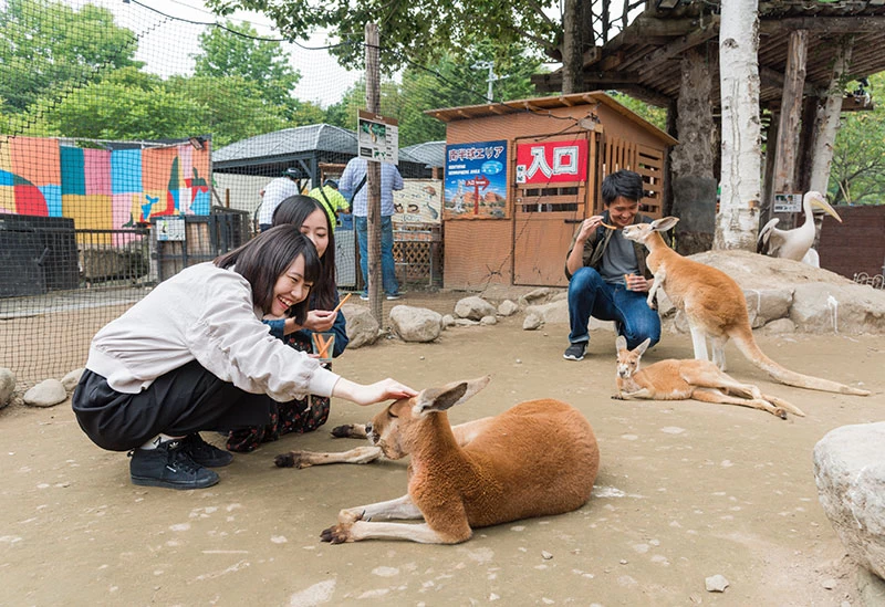 ノースサファリサッポロ①
