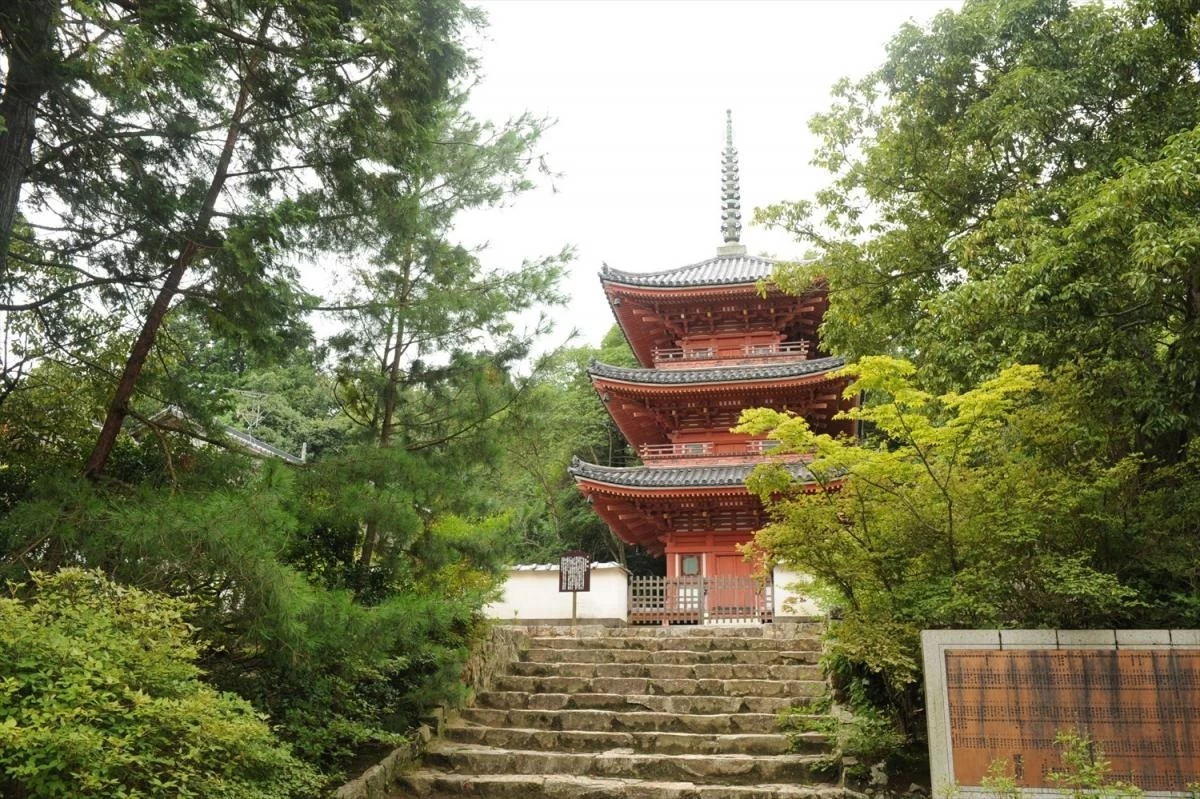国指定重要文化財「三重塔」　写真提供：岡山県観光連盟