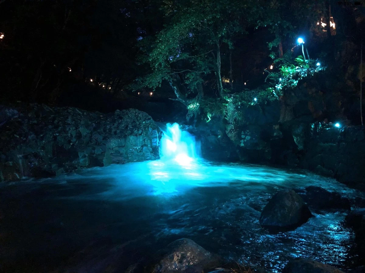 カニ滝のライトアップ
