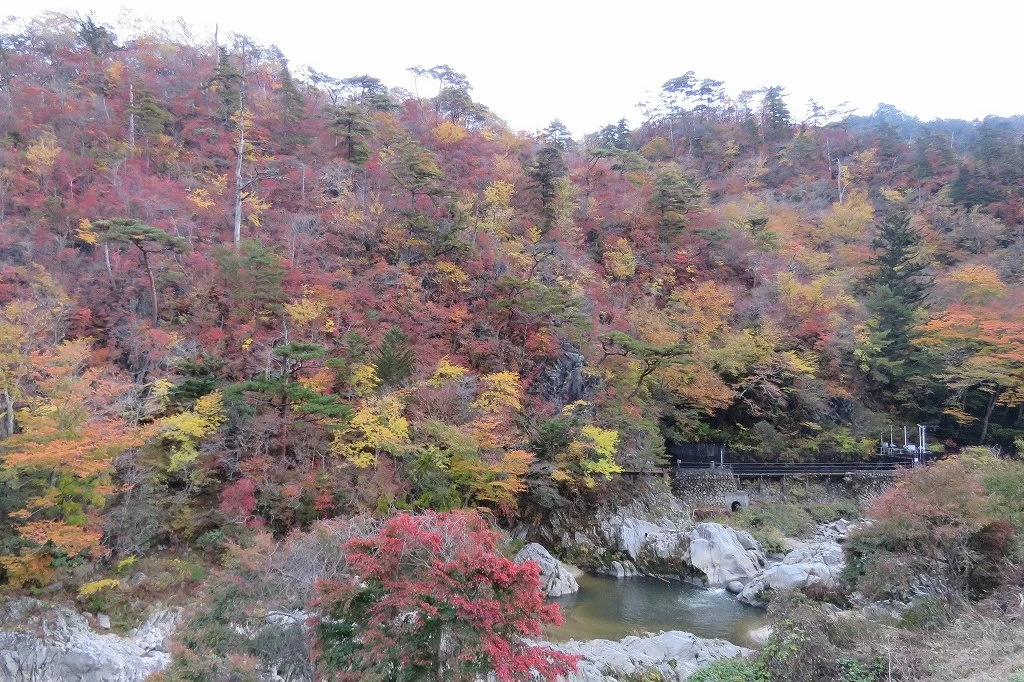 秋の景色