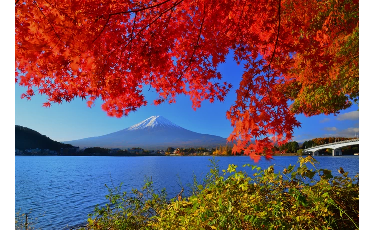 秋の大橋と富士