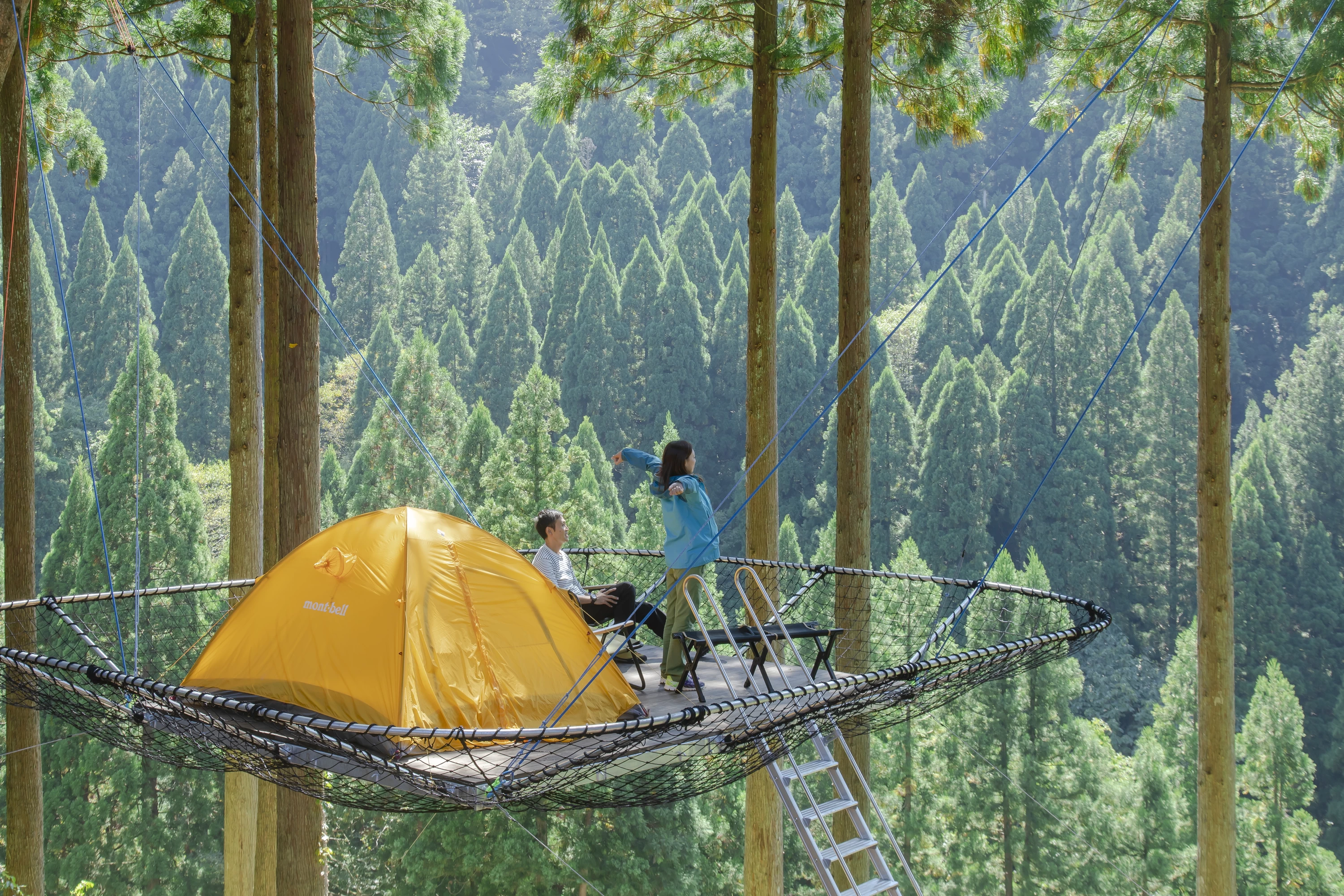 樹上テント