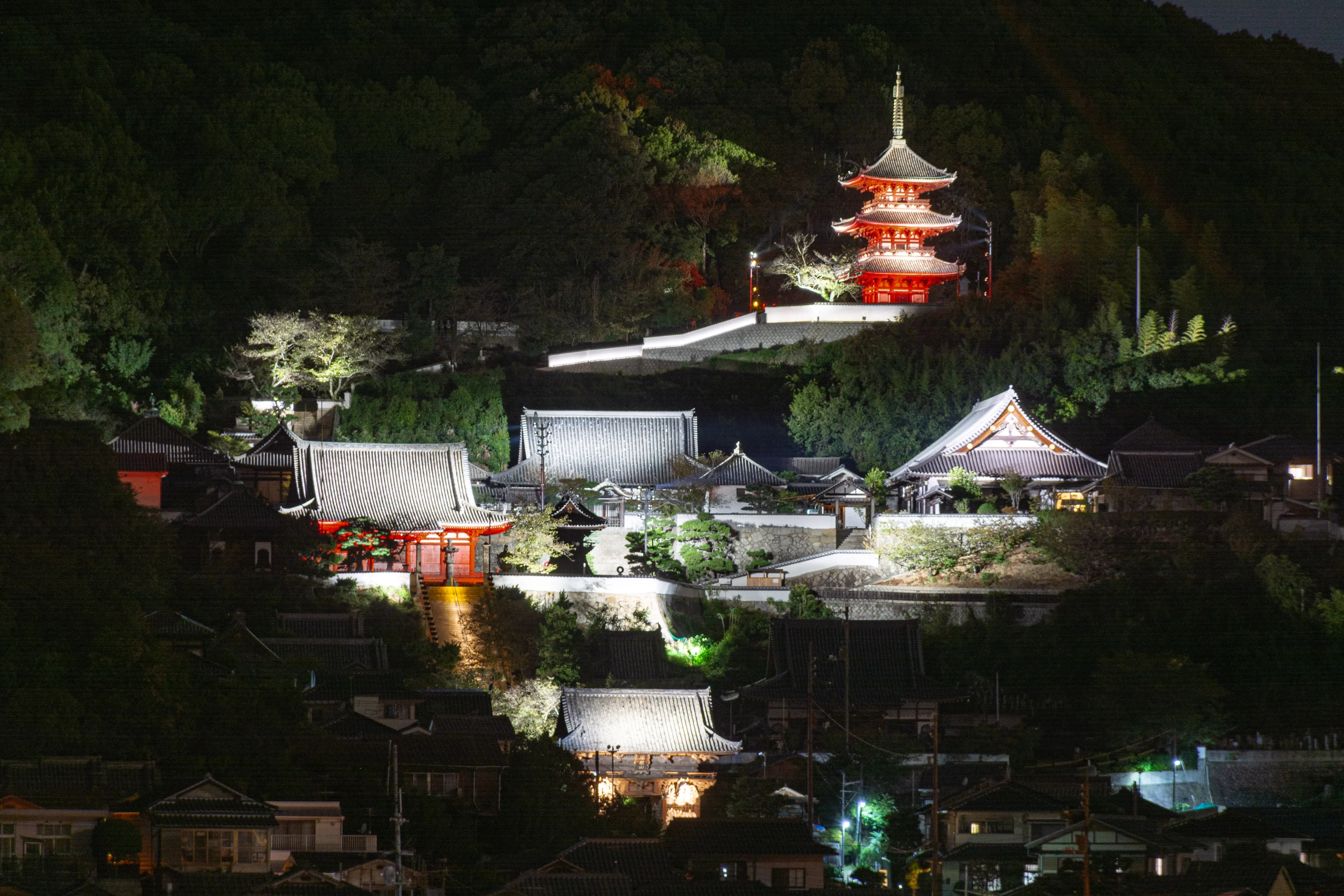 展望デッキから見る西國寺の夜景 