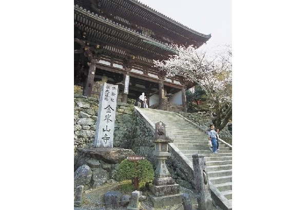 桜の季節の金峯山寺