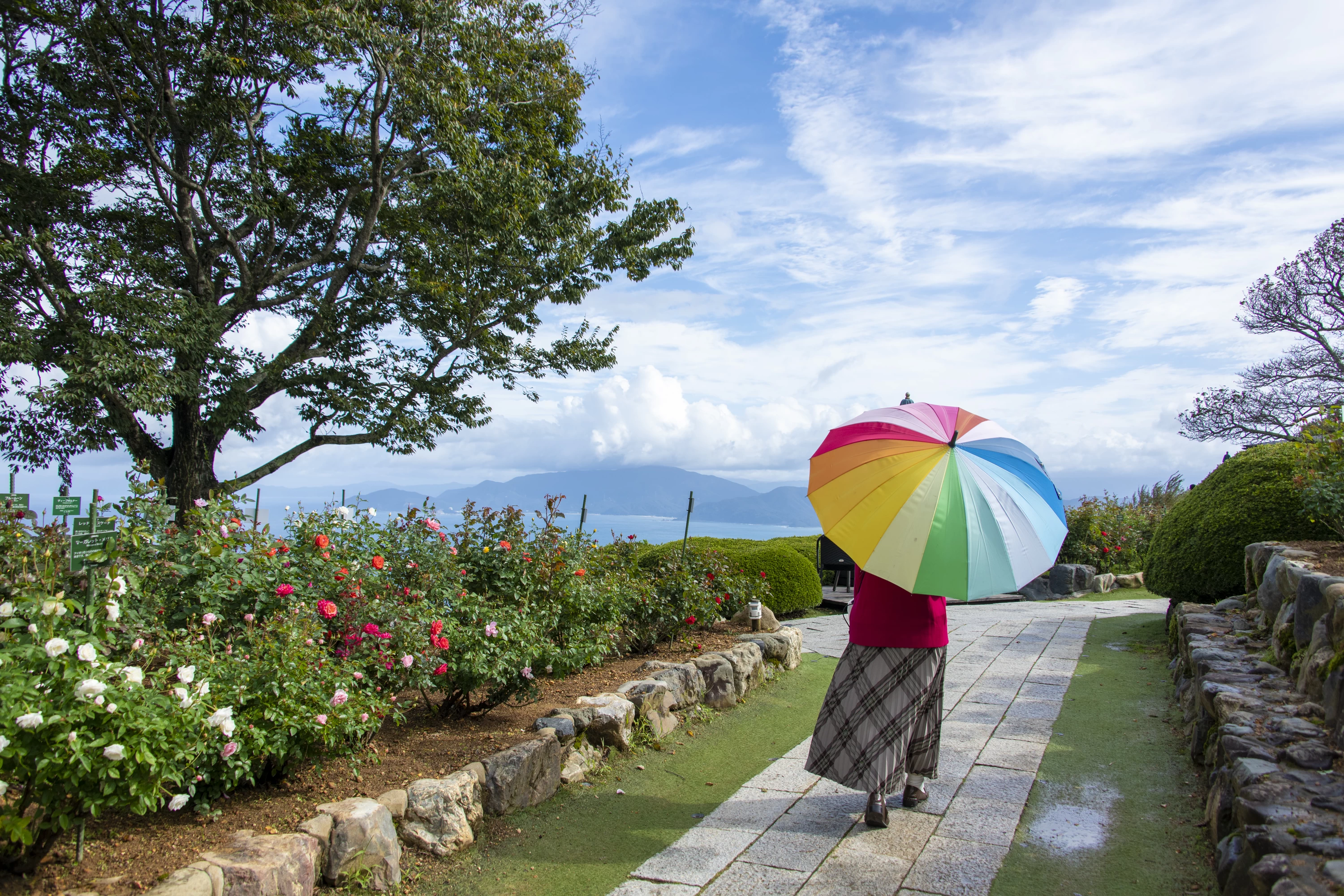 無料貸出の傘　写真：上田順子