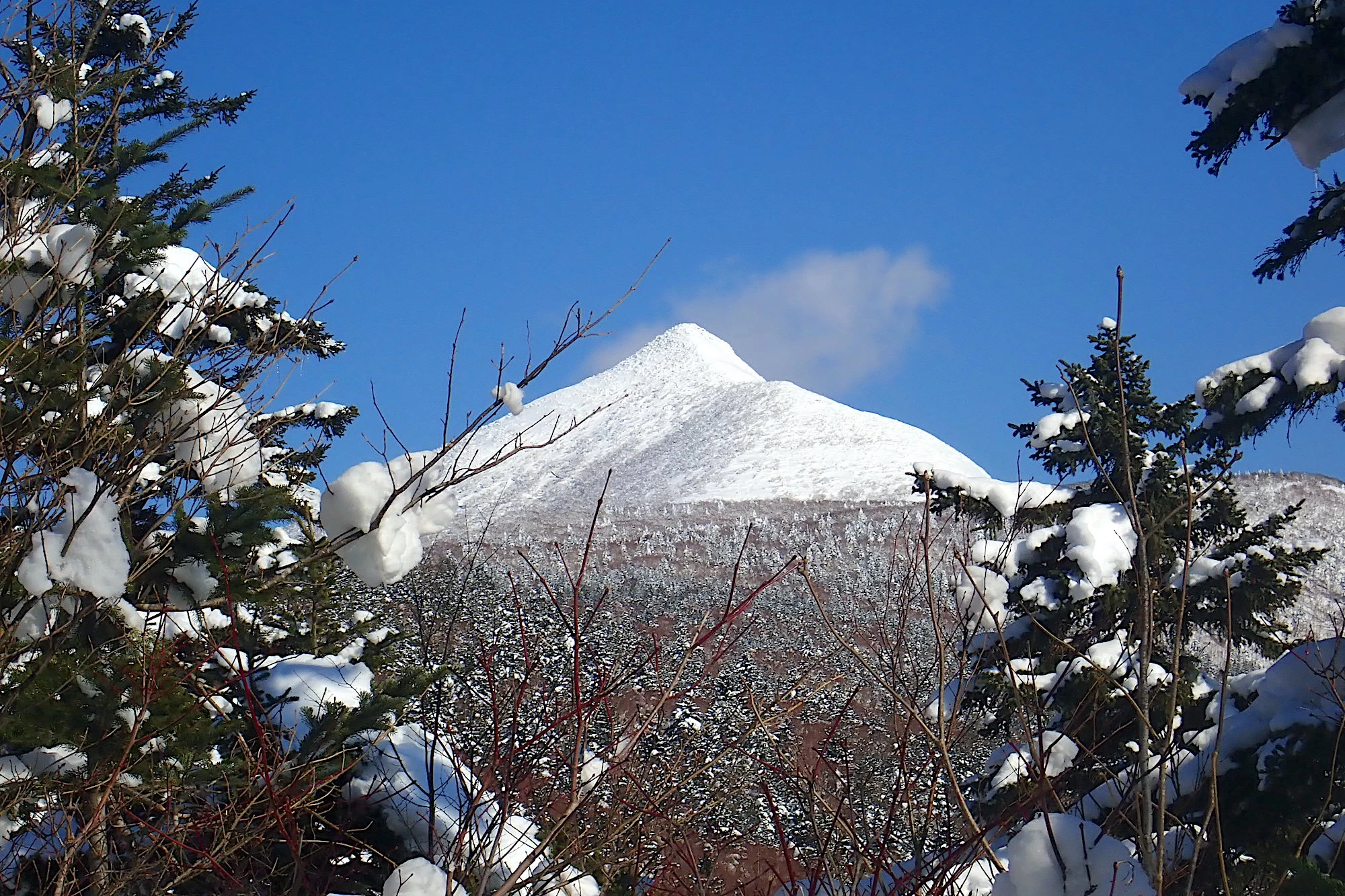 雪原コースからは白銀の徳舜瞥山の絶景が