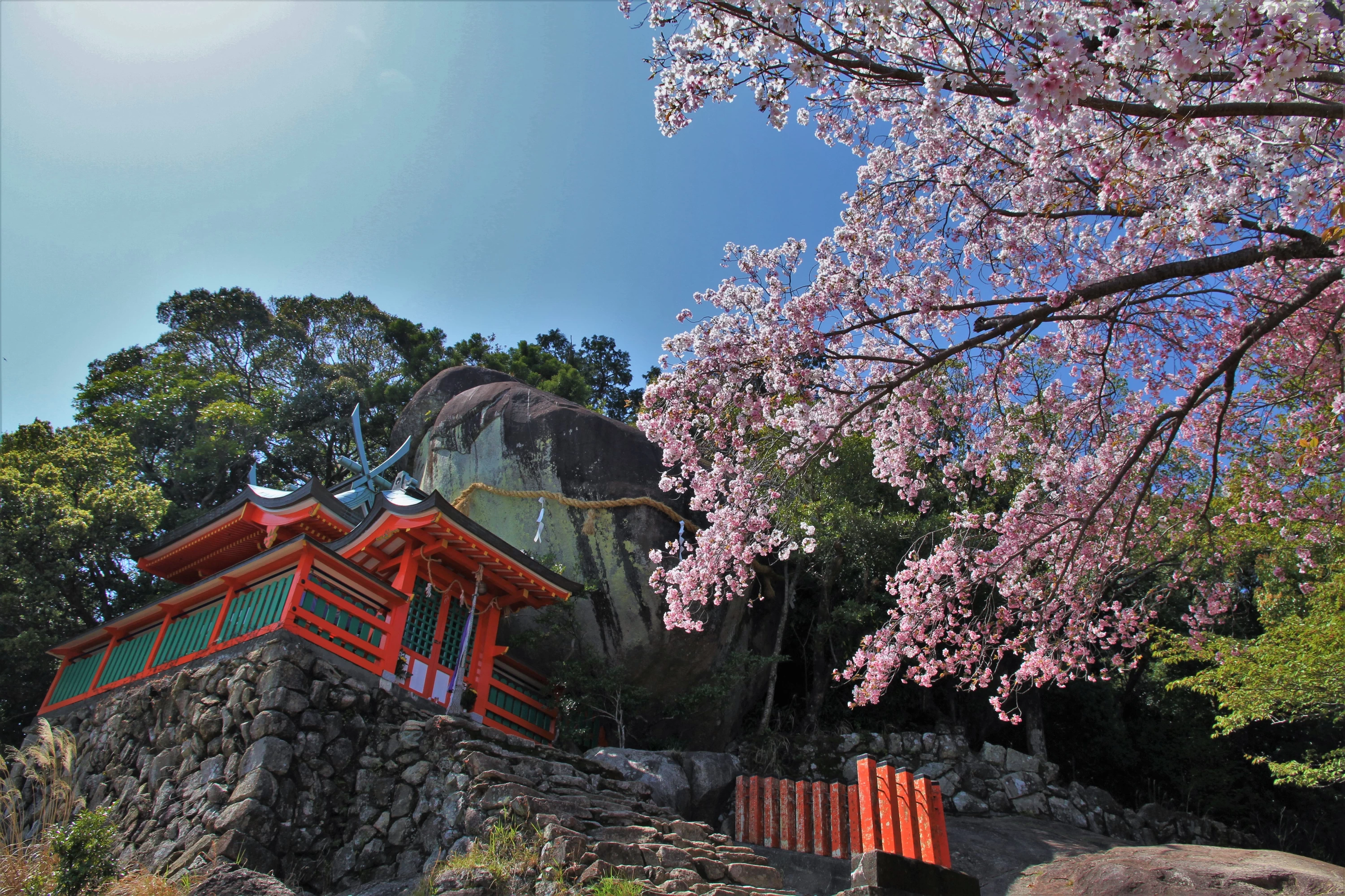 神倉神社（春）