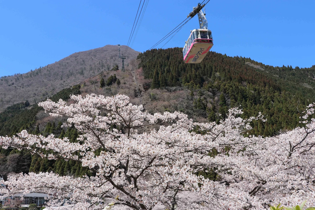 4月 春・桜とゴンドラ