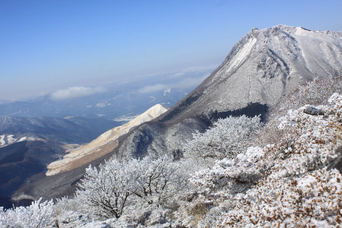 鶴見岳山上からの由布岳と霧氷（2021）