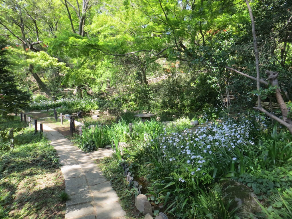 菖蒲池周辺