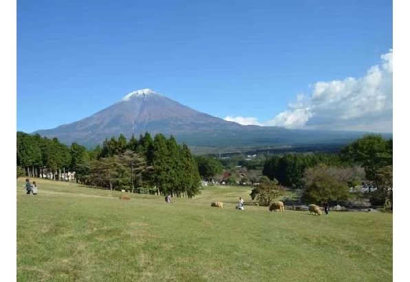 牧場内から見える富士山