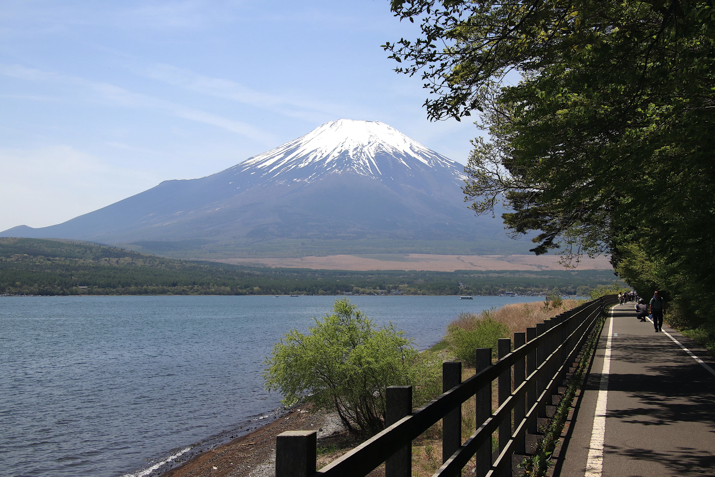 富士山を横目にサイクリング