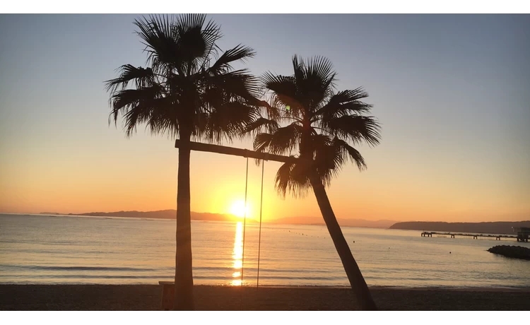 ヤシの木ブランコ 朝日