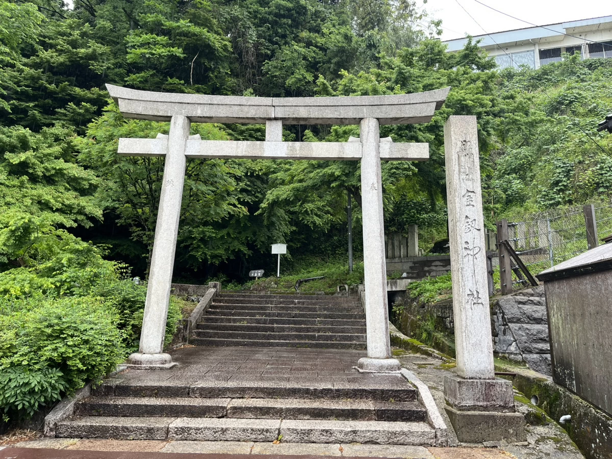 女段