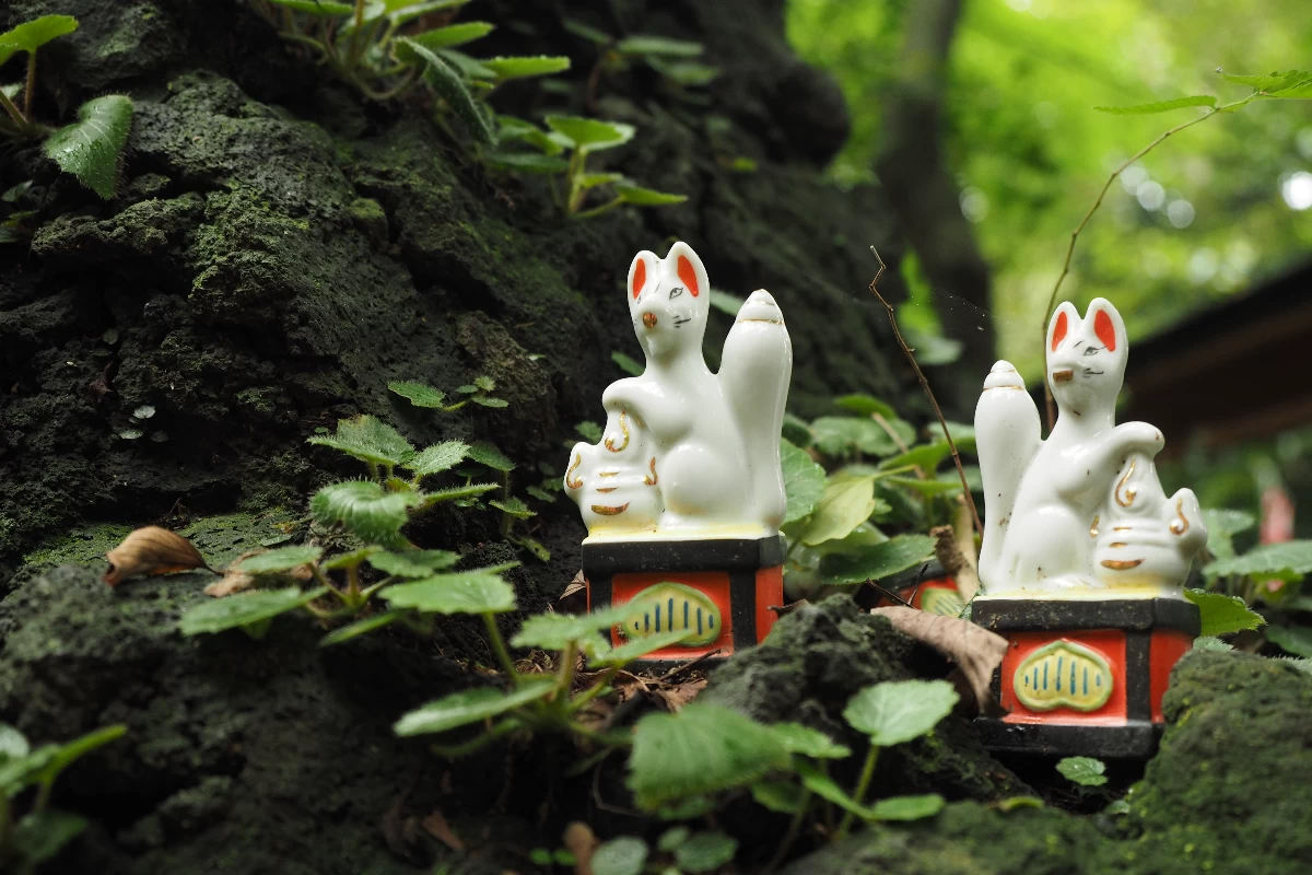 佐助稲荷神社の白狐