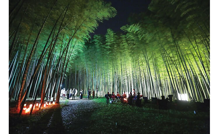 若竹の杜 若山農場のライトアップ時の様子