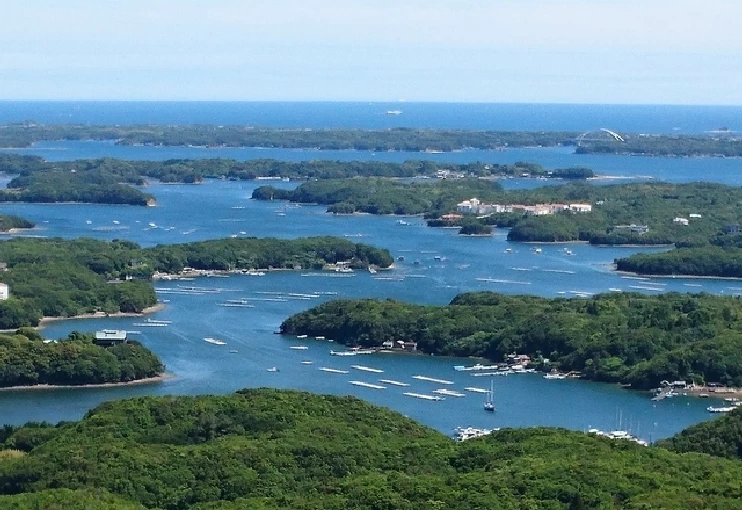 日本有数のリアス海岸美