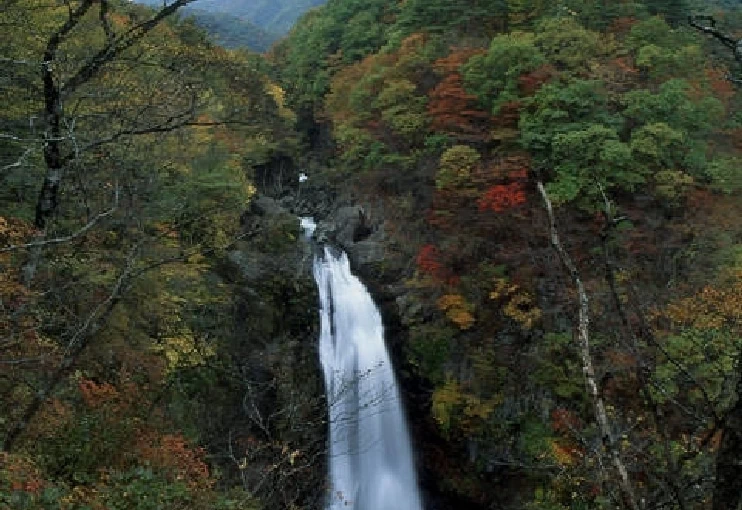 秋の秋保大滝