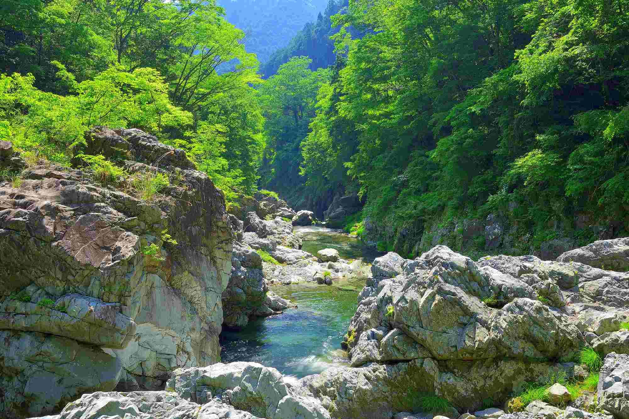 豊かな緑に囲まれた秋川渓谷