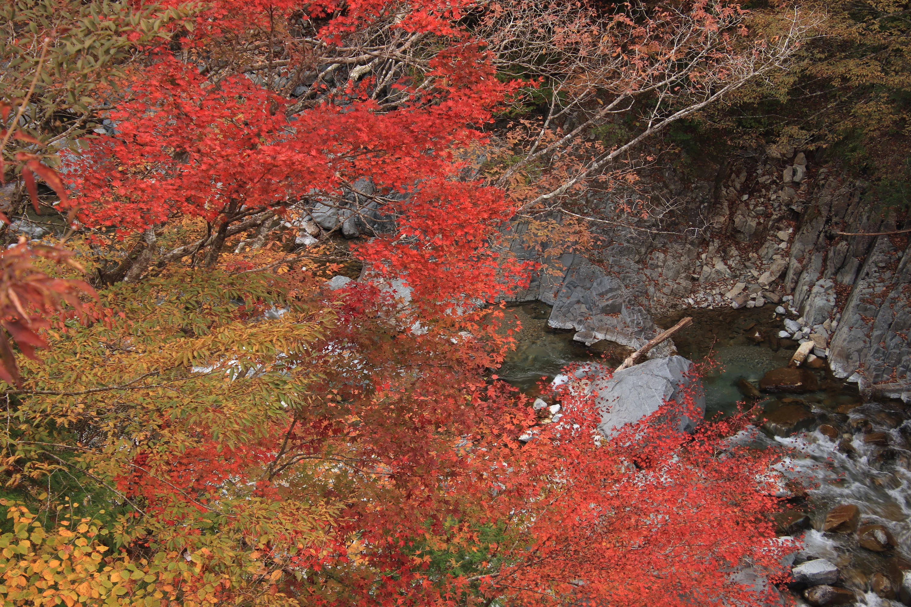 手付かずの渓谷を彩る紅葉