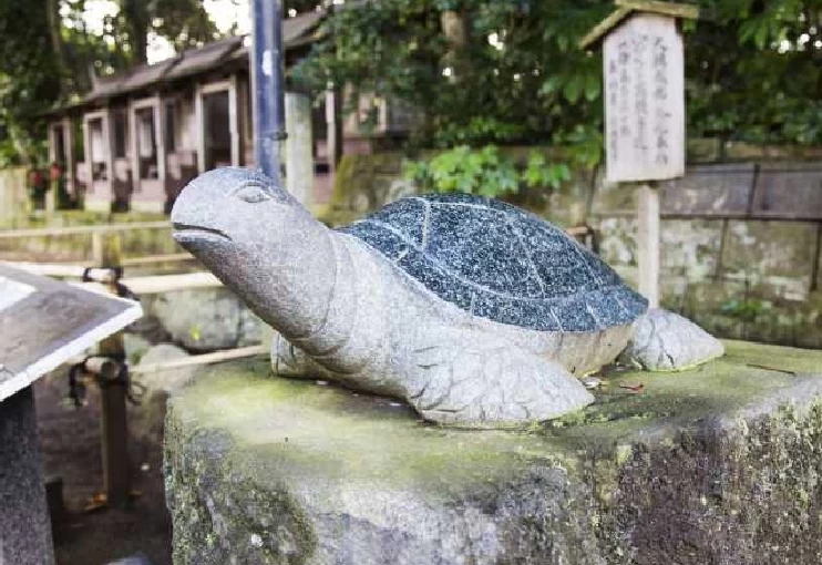 幸運の亀