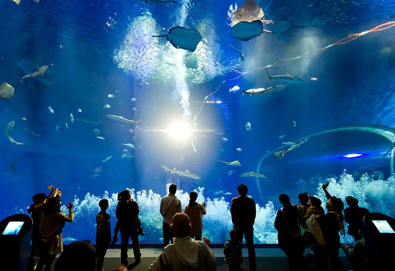 「アクアワールド茨城県大洗水族館」が徒歩圏内