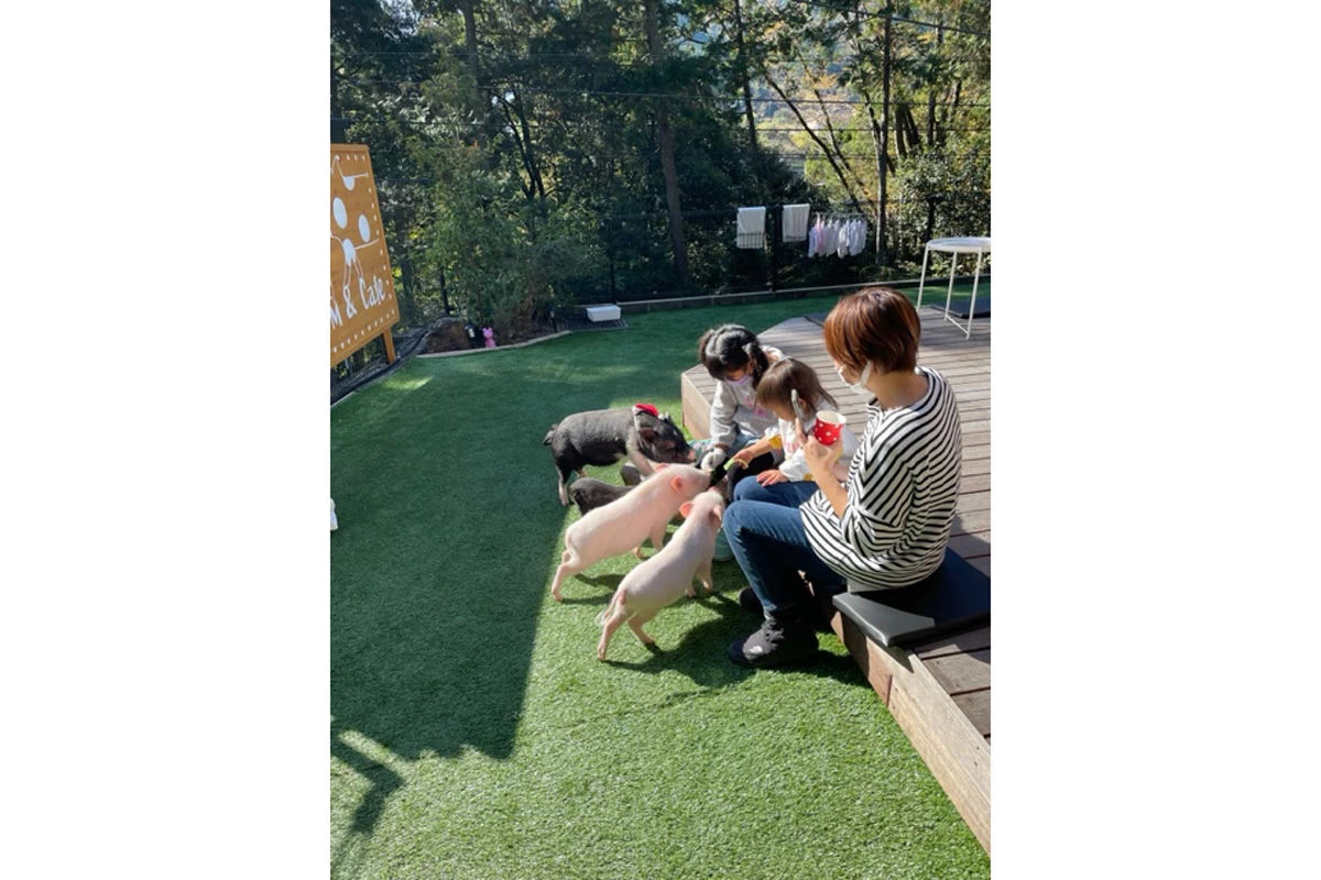 マイクロブタ③