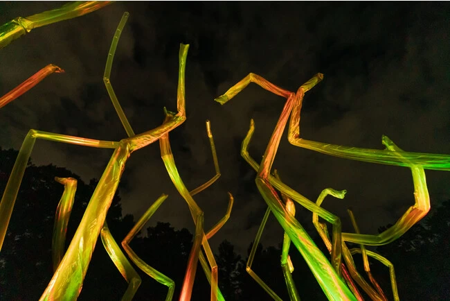 チームラボ ボタニカルガーデン 大阪　「風と共に踊る柱群」～12/25