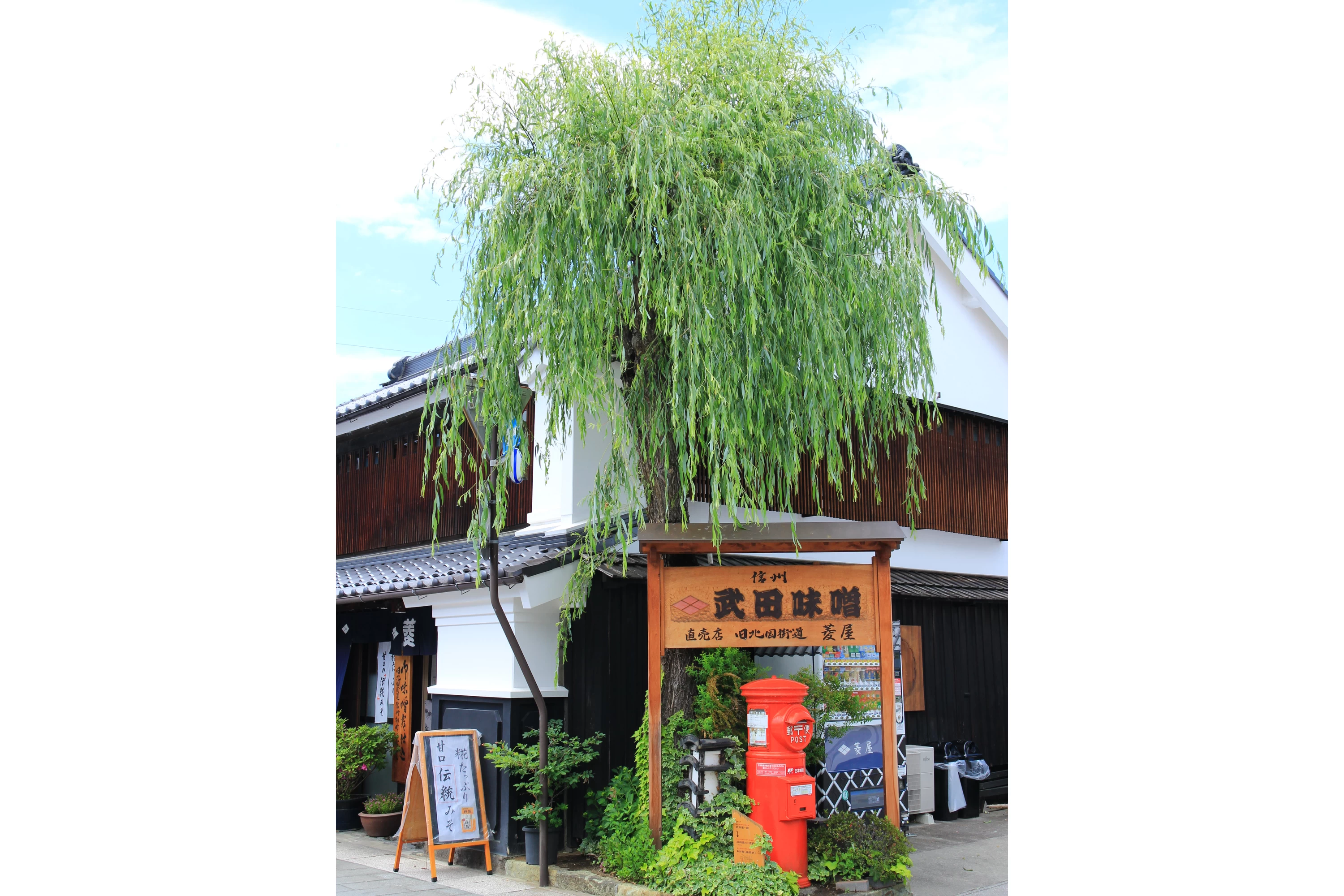 武田味噌の店舗と柳の木